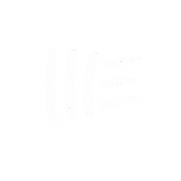 Old Soul Tribe